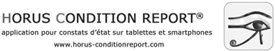 HORUS CONDITION REPORT